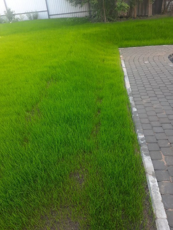 Геопластика и рельеф